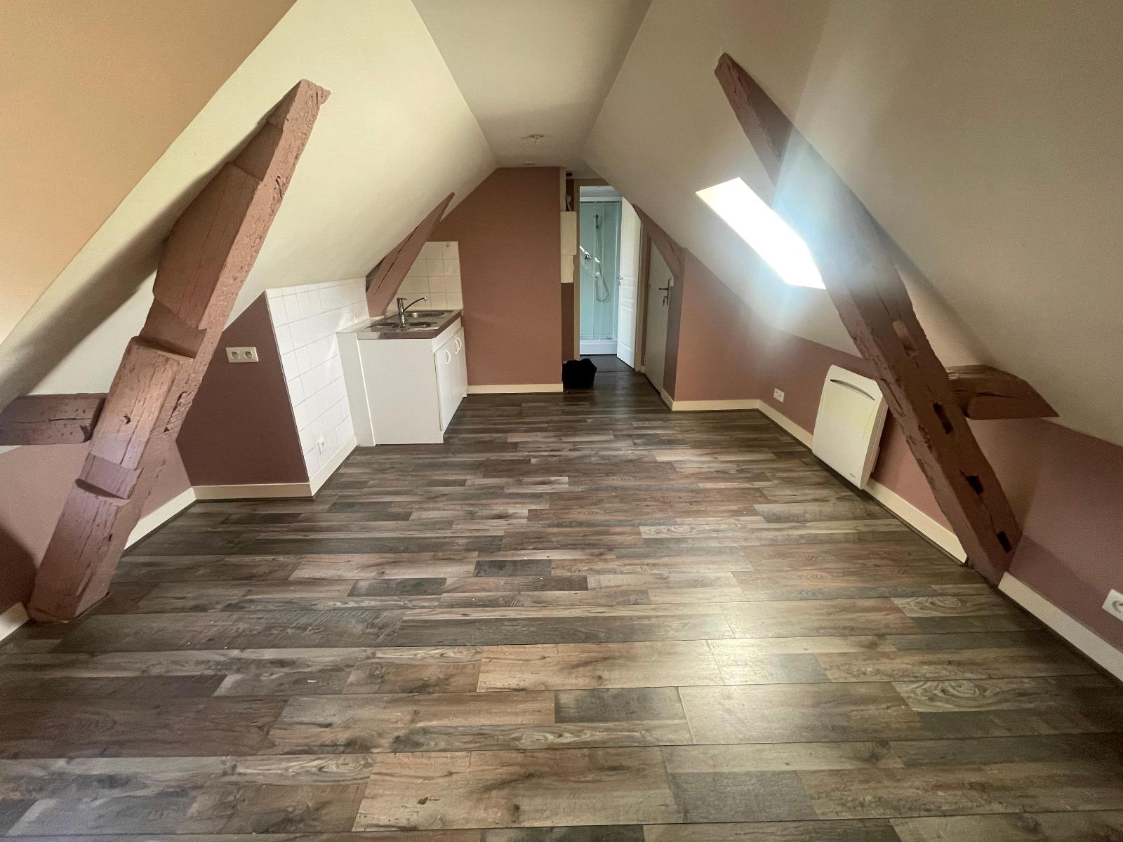 Visuel 1 appartement 1 pièce 14.6 m2 Tours