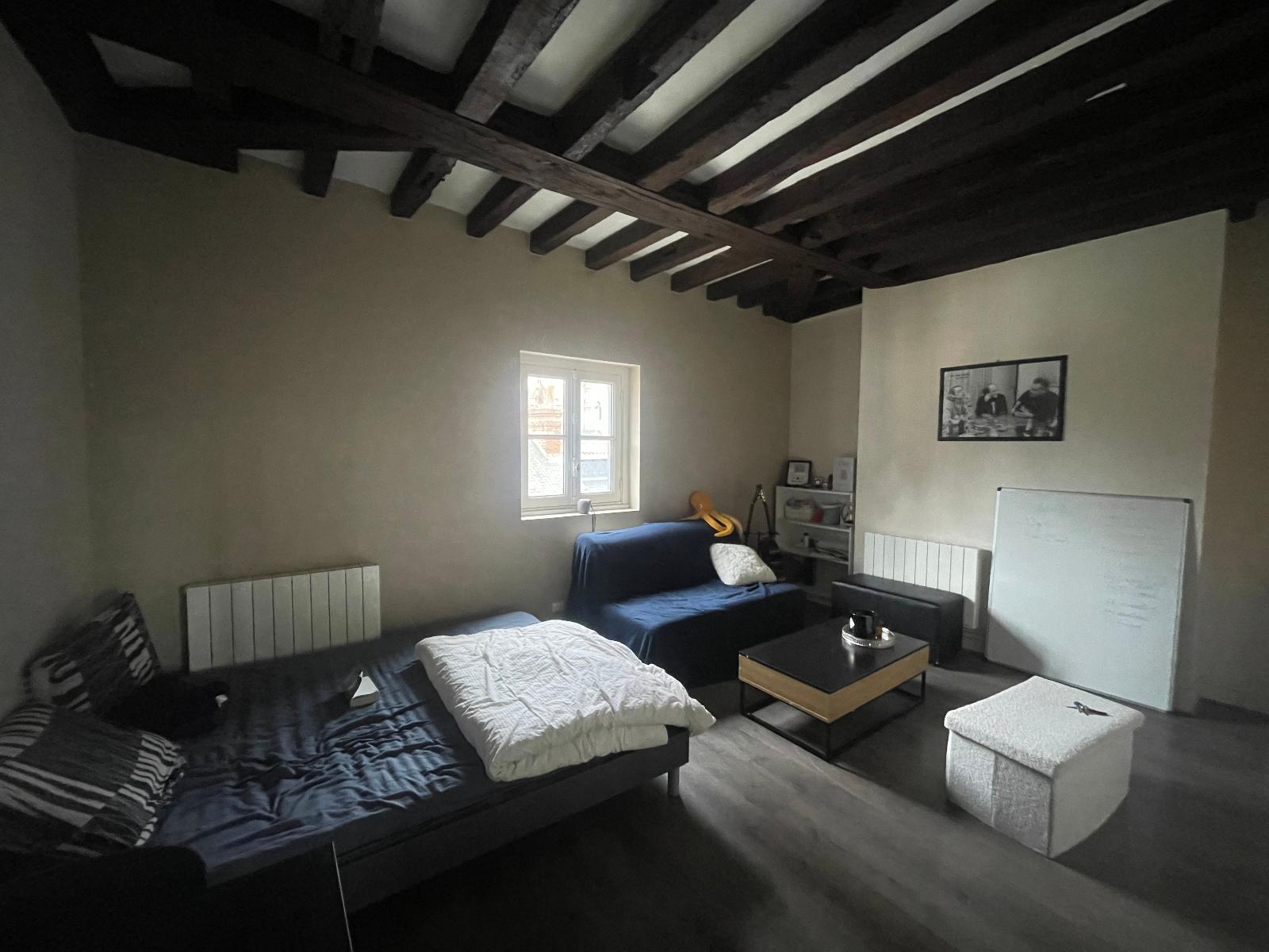Visuel 2 appartement 1 pièce 29.57 m2 Tours