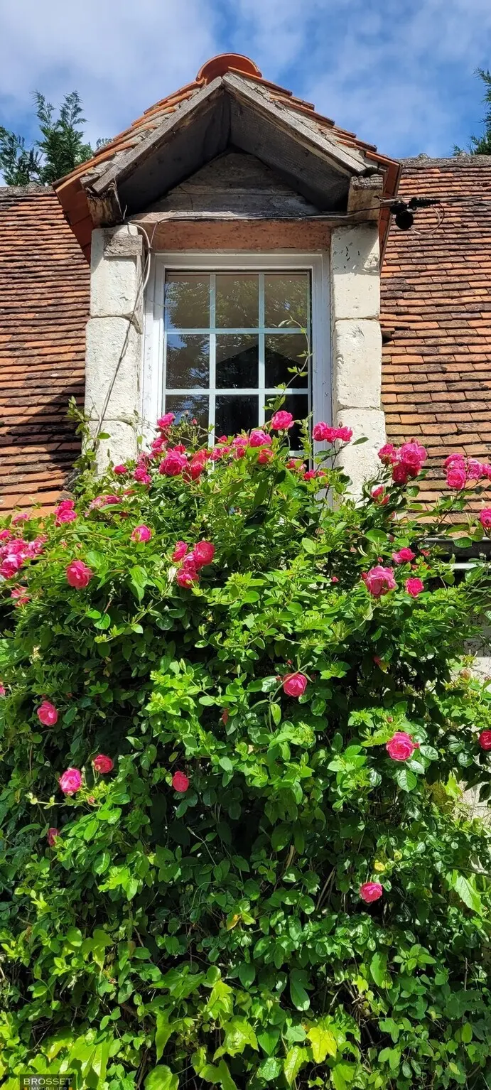 Visuel 17 maison 7 pièces 134 m2 Chambourg-sur-Indre
