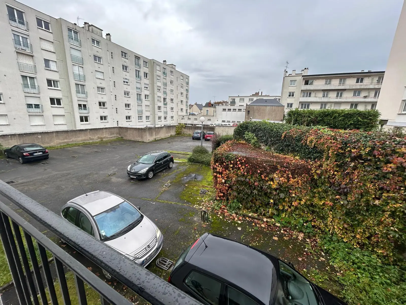 Visuel 6 appartement 1 pièce 25 m2 Tours