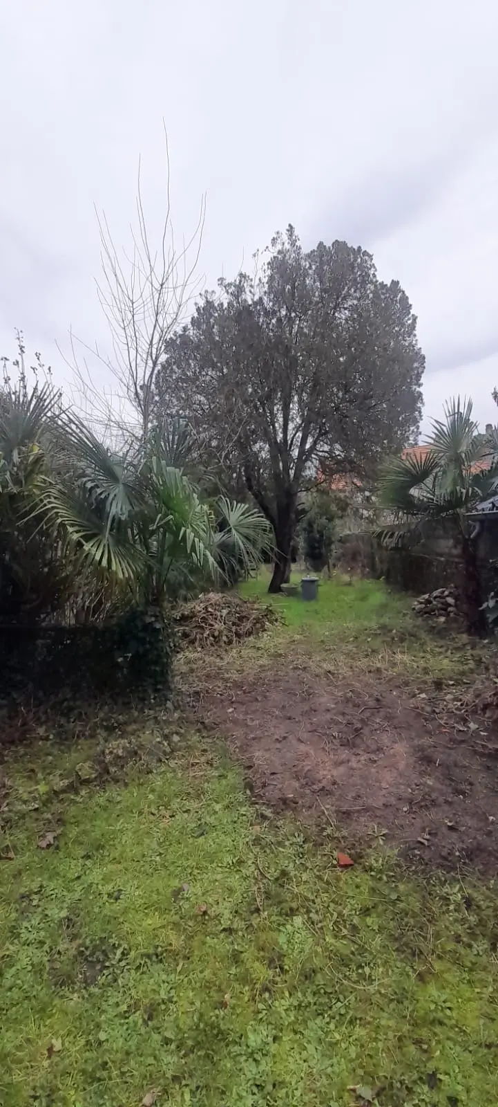 Visuel 8 immeuble 185 m2 Tours