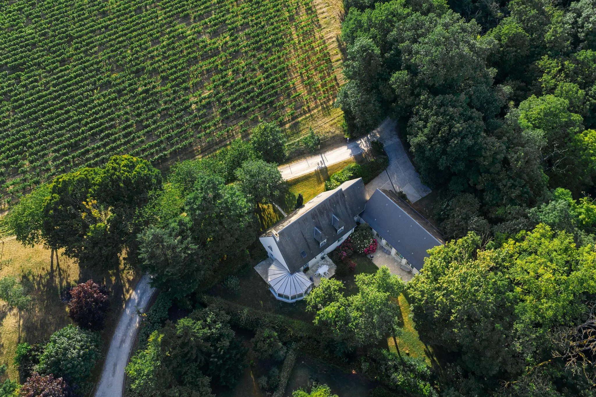 Visuel 2 maison 8 pièces 211 m2 Rochecorbon