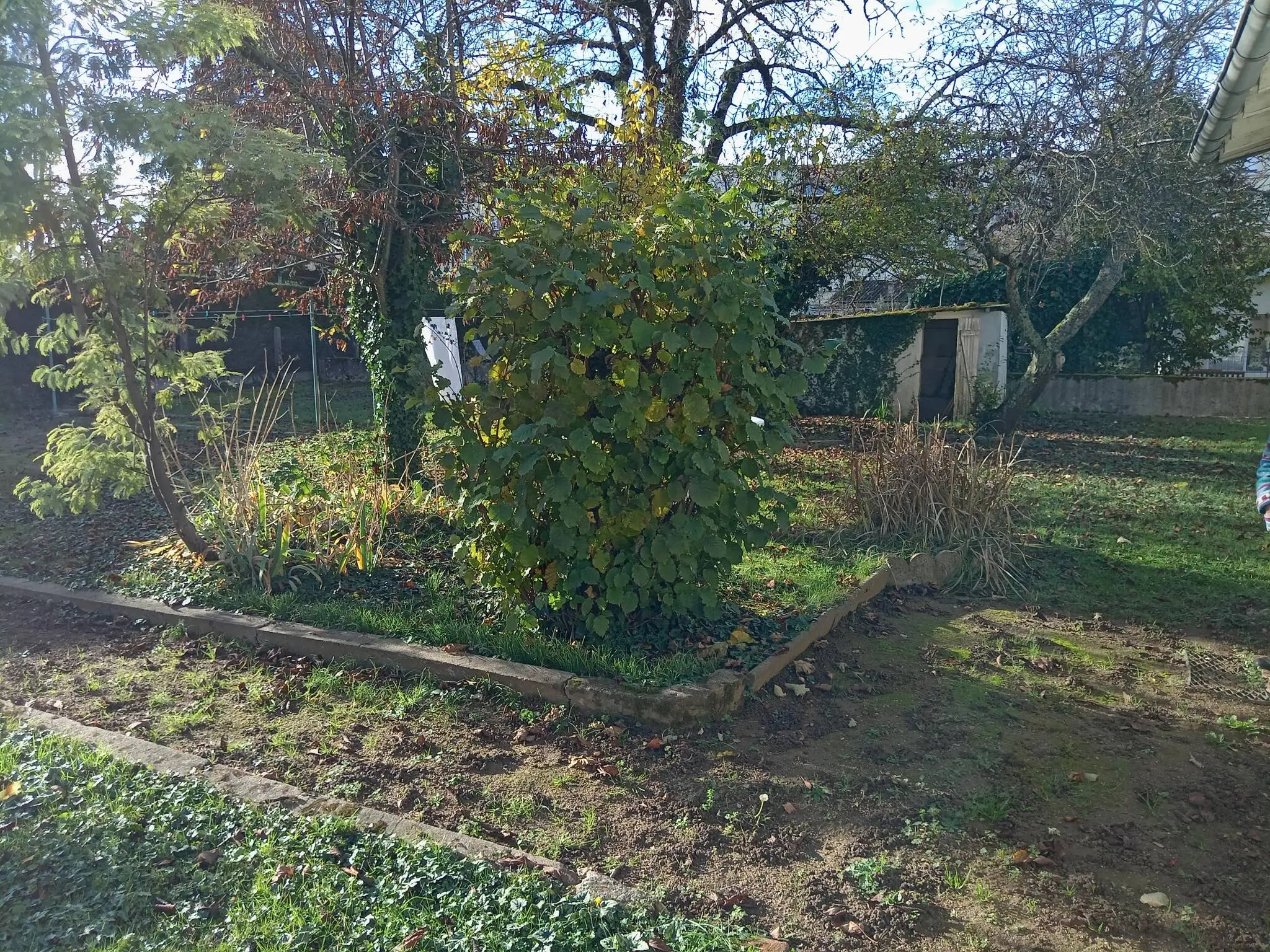 Visuel 3 maison 5 pièces 95 m2 Tours