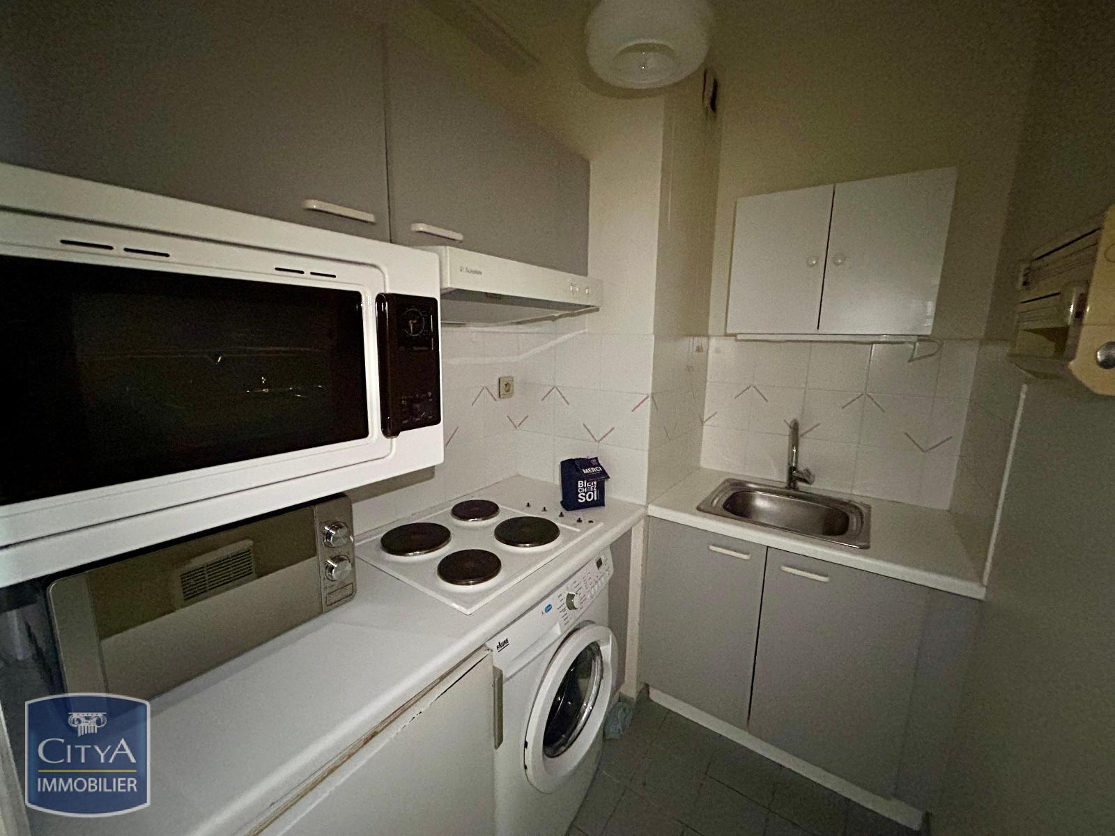 Visuel 4 appartement 1 pièce 32.5 m2 Tours