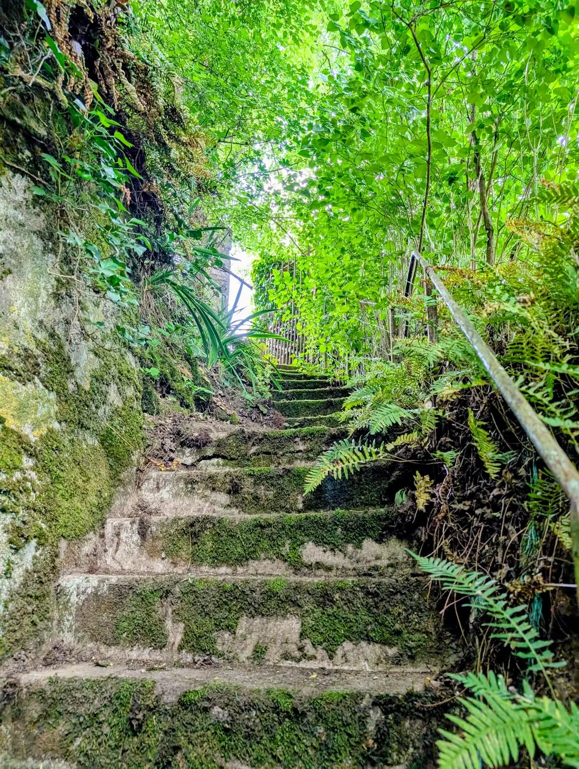 Visuel 2 maison 1 pièce 30 m2 Montlouis-sur-Loire